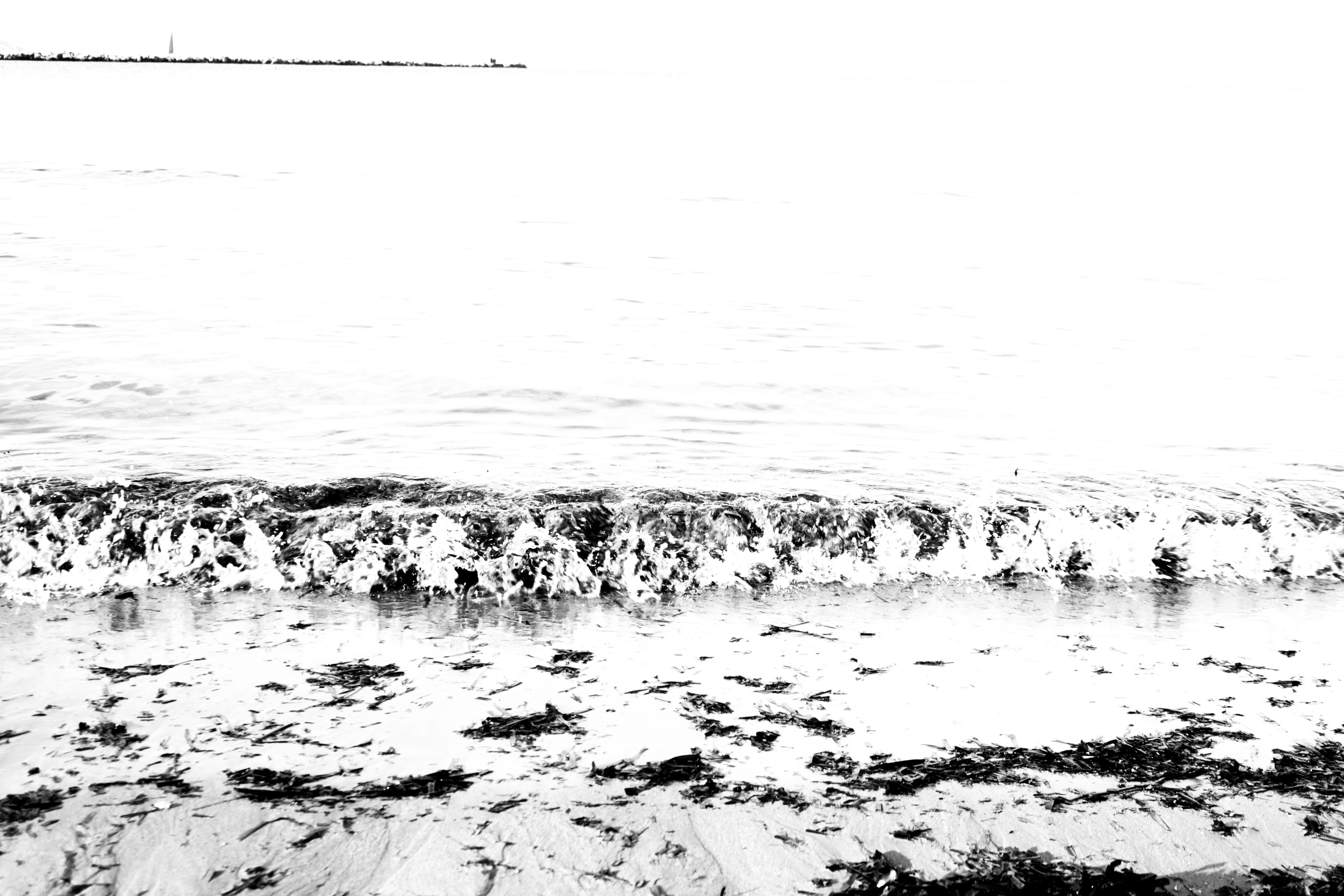 Aux lignes de nos horizons multiples. Dire merci.