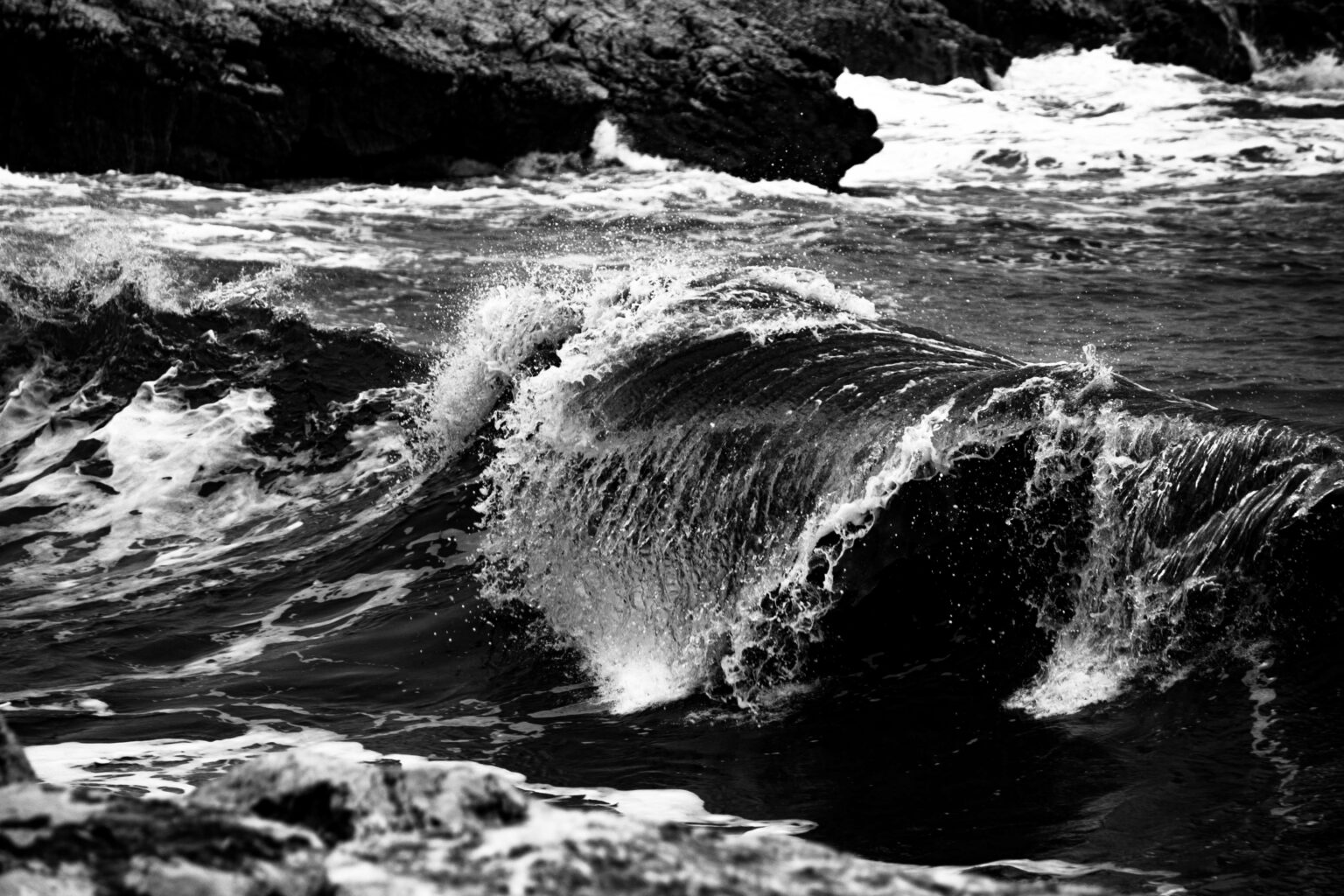 A sa danse endiablée, à sa danse déchaînée. Dire merci.