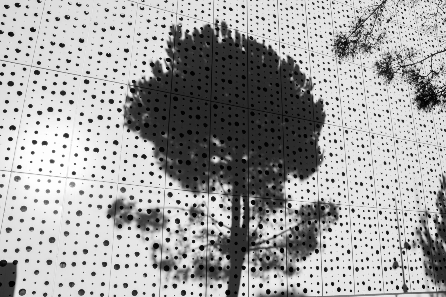 Aux questions sans réponses, aux doutes tenaces. Dire merci.